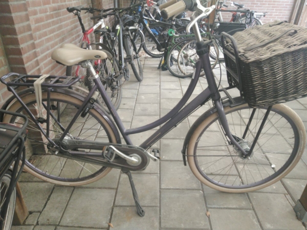 Batavus diva Paars Dames 2016
