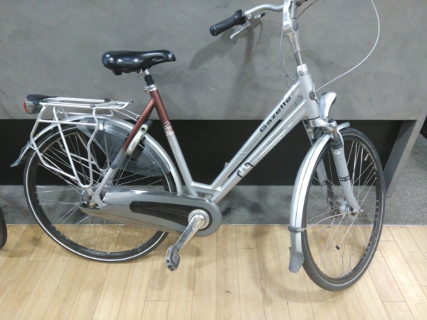 Gazelle Chamonix plus 09 Platinum/kastagne 2009
