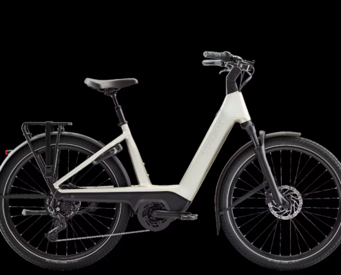 CharterPlus4R9540Lowstep-26-60490-B-Primary