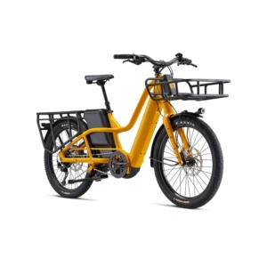 Giant-Momentum-Pakyak-bumblebee-4_1920x1920